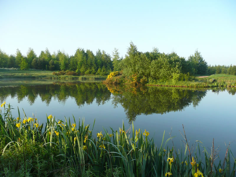 Lakes at Beehive Farm Woodland Lakes